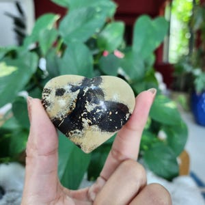 Picture Jasper Heart• 2.2&quot; Picture stone heart carving • Crystal heart shape gift healing home decor