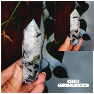 May include: A polished moonstone crystal tower with a hexagonal point, featuring a white and grey base with black inclusions and blue flash. The crystal is labeled MSP1E and measures 3 inches by 0.7 inches by 0.6 inches as shown in the text.