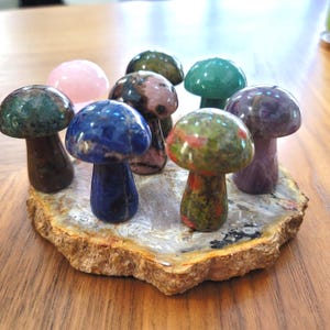 Op de afbeelding: Een verzameling edelstenen paddenstoelbeeldjes in verschillende kleuren, waaronder groen, blauw, roze en paars. De paddenstoelen worden getoond op een natuurlijke, onregelmatig gevormde houten basis, die hun unieke texturen en tinten laat zien.