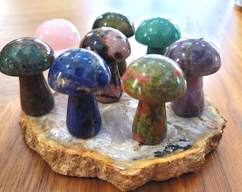 Tallado de hongos • Hongo de sodalita, hongo de unakita, cristal de cuarzo rosa, amatista, rodonita, hongo de jaspe oceánico, regalo, decoración del hogar, exhibición