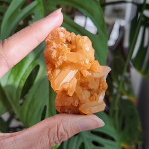 Tangerine Quartz cluster•Natural Brazilian Tangerine Quartz specimen mineral cluster • Quartz Gift crystal home decoration
