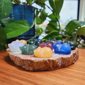 Puede incluir: Una colección de ocho pequeñas figuritas de gatos durmiendo talladas en varias piedras preciosas. Las figuritas están dispuestas en círculo sobre una base de madera. Las piedras preciosas incluyen amatista, cuarzo rosa, cuarzo transparente, aventurina verde, sodalita azul y jaspe rojo.