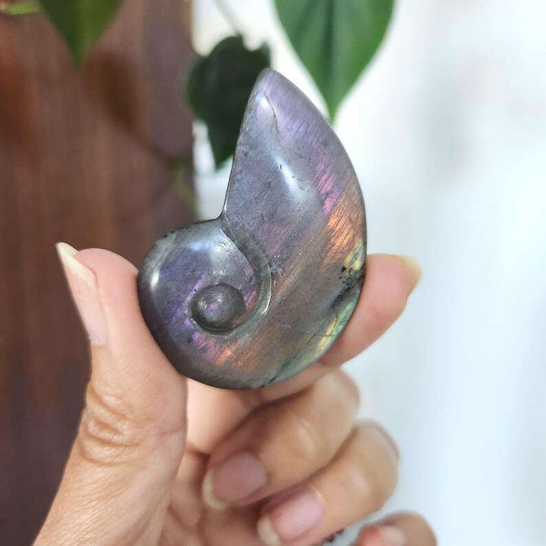 Flashy Rainbow Labradorite Shell crystal carving. This stunning crystal shell has full body flash on both sides. Ideal crystal gift to all crystal collecting family and friends.2.1" x 1.35".