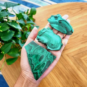 Puede incluir: Tres rodajas de piedra de malaquita pulida con distintos patrones de bandas en verde oscuro y claro. Las piedras son planas, de forma irregular y muestran formaciones minerales naturales en espiral en sus superficies.