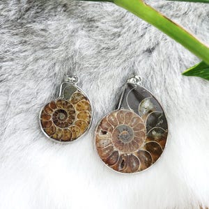 Ammonite Pendant • Fossil pendant • Natural Ammonite Jewelry Accessory Crystal Gift