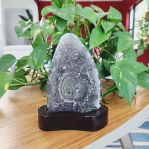 Raw Grey Amethyst with staclatite  from the mines of Brazil. Very much in it's natural raw state, this unique collector's piece comes with a customised wooden base. stands about 6inches tall.