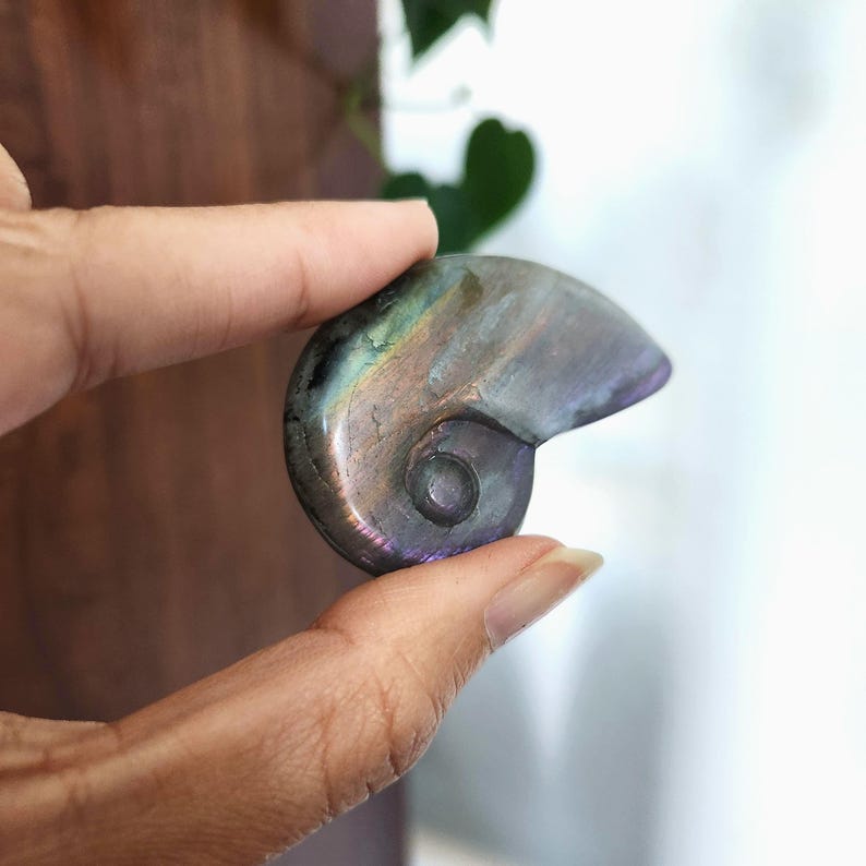 Flashy Rainbow Labradorite Shell crystal carving. This stunning crystal shell has full body flash on both sides. Ideal crystal gift to all crystal collecting family and friends.2.1" x 1.35".