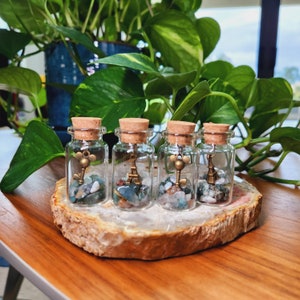Wish bottle•Crystal Wish Bottle•Moss Agate Crystal chips Wishing Jars •Glass gemstone bottle with charm •Crystal Gift