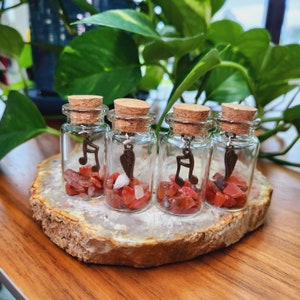 Wish bottle•Crystal Wish Bottle 1.8"•Carnelian Crystal chips Wishing Jars •Glass gemstone bottle with charm •Crystal Gift