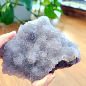 Rainbow Fluorite specimen on white fluorite cubic matrix. This unique rough mineral has beautiful layers of white, purple and green fluorite. Perfect gift to all crystal collecting family and friends.