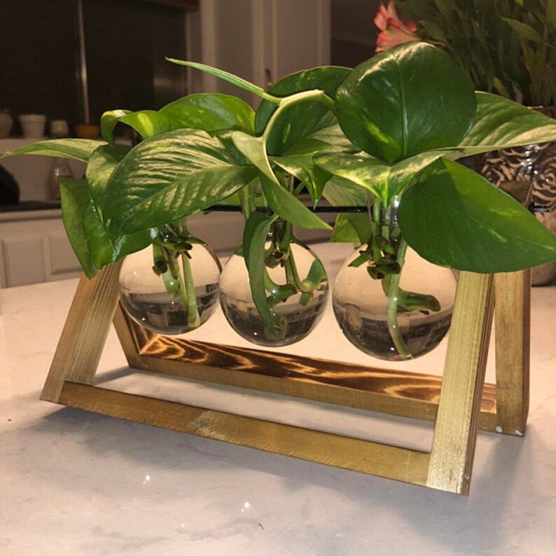 Plant pot/ cool flower pot/ desk decor/ office desk Etsy