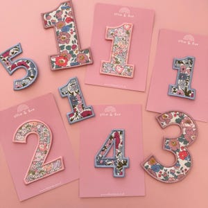 May include: A collection of embroidered fabric numbers 1, 2, 3, 4, and 5. Each number features a floral pattern in pink, blue, and white. They are displayed on pink cards with the brand name "Ollie & Eve".