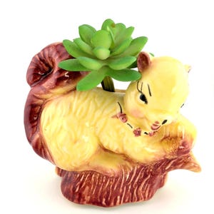 May include: A ceramic squirrel planter in yellow and brown, holding a green succulent. The squirrel is in a seated position, with a detailed tail and a decorative floral necklace. The planter is a unique decorative item.