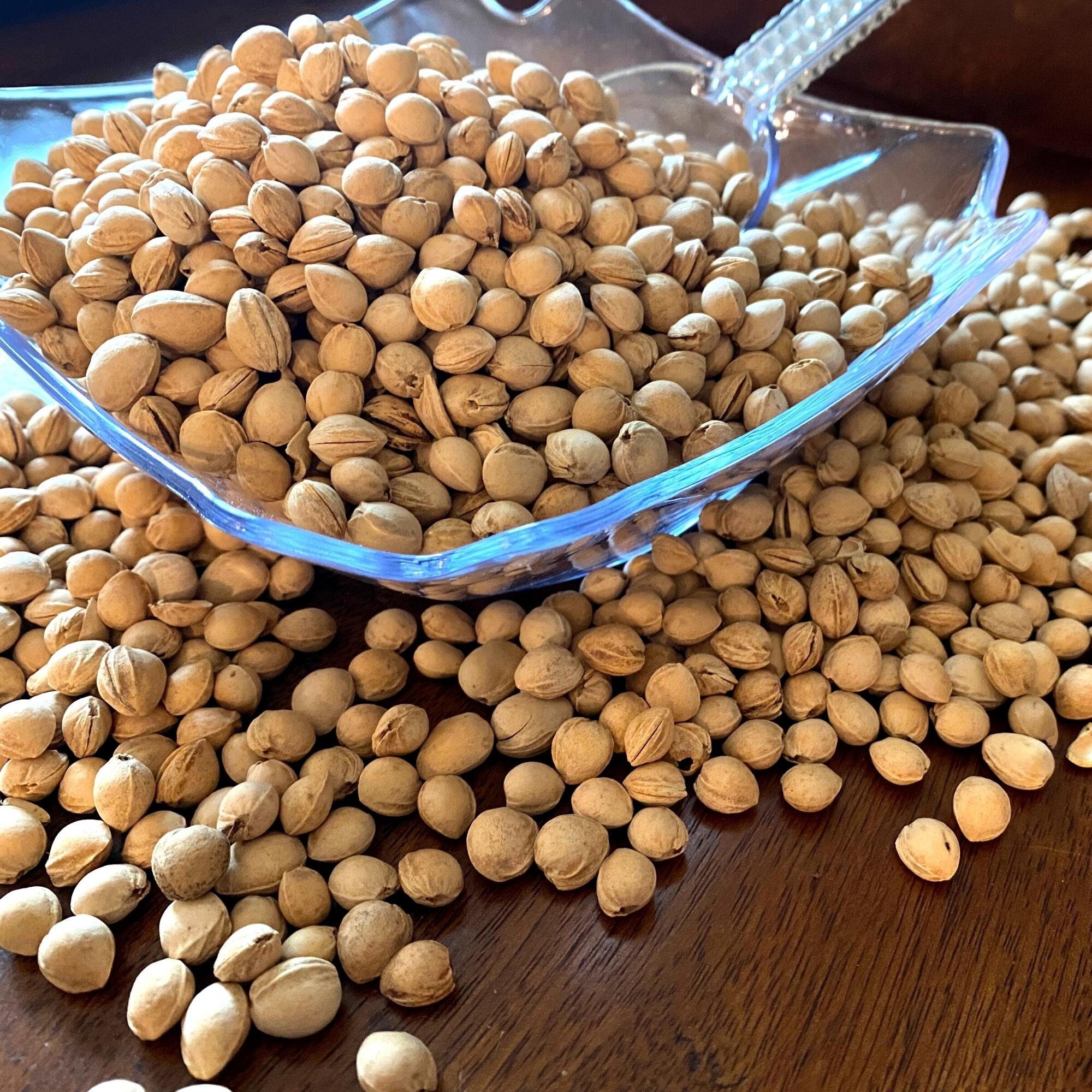 Craft Cherry Pits Natural Clean & Dried Cherry Pits No Etsy