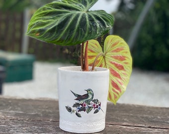 Handmade Vase Pot Bowl for plants, handmade hummingbird pot cover Pottery pottery, indoor plant, plant, Bowl hummingbird plant pot