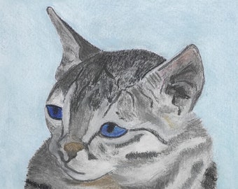 Ihr Haustier Katze gezeichnet in Pastell-Ultimate Weihnachten Geschenk-großen Geburtstag Geschenk-Amazing Geschenk-Pet Portrait