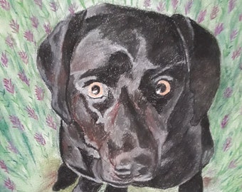 Uw Hond Getekend In Pastel-Ultieme Kerst Cadeau-Geweldige Verjaardags Cadea-Perfecte Cadeau-Huisdier Portret