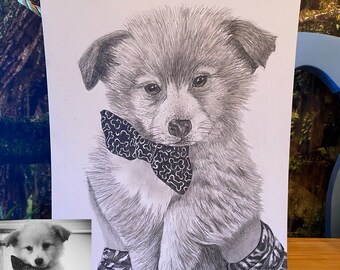 Pencil Drawn Pet Portrait 9x12 inch Furbaby Art One Off