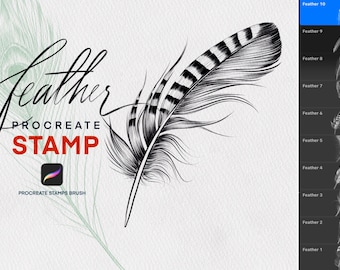 Feather, procreate stamp, procreate tattoo stamps, procreate tattoo, procreate brush, procreate stamps brush, tattoo guide