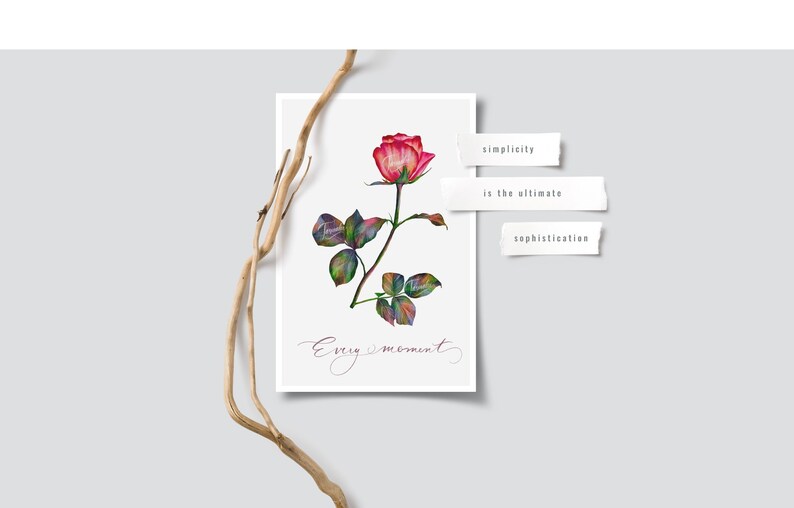 watercolor painting gift rose digital art digital painting Watercolor wall art valentines