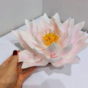 May include: A large, white and pink paper flower resembling a water lily. The flower has a yellow center with a delicate, intricate design.