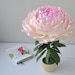 see more listings in the Flower Table Lamps section