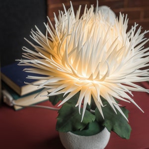 May include: A white paper flower lamp with a warm white light, sitting on a red table. The flower is in a white pot with green leaves.