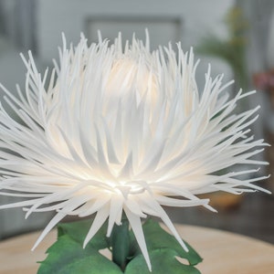 May include: A white paper flower with a light inside, resembling a chrysanthemum. The flower is on a table with green leaves.