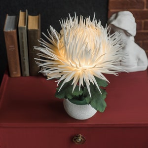 May include: A white paper flower lamp with green leaves in a white pot on a red nightstand. The lamp is lit and casting a warm glow.