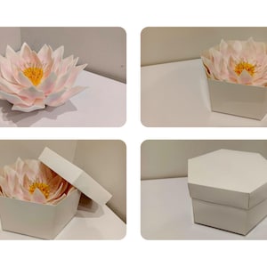 May include: A white hexagonal box with a pink and yellow flower inside. The box is open and the flower is visible. The box is on a white surface.