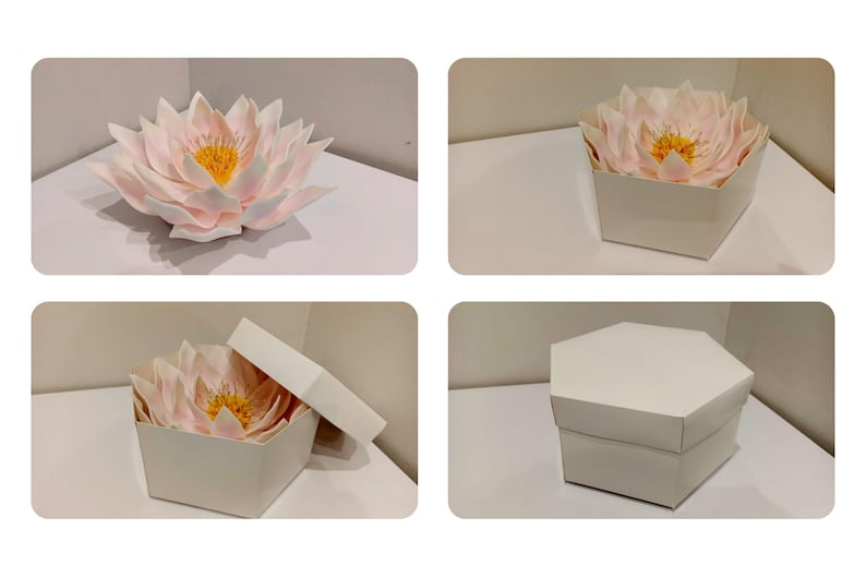 May include: A white hexagonal box with a pink and yellow flower inside. The box is open and the flower is visible. The box is on a white surface.