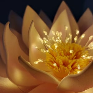 May include: A close-up of a white and yellow artificial lotus flower with a center of yellow stamens and white petals. The flower is illuminated with small white lights.