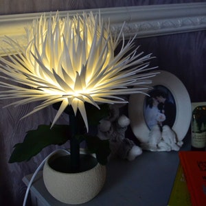 May include: A white paper flower lamp with a light bulb inside, illuminating the flower. The lamp is on a table with a book and a picture frame.