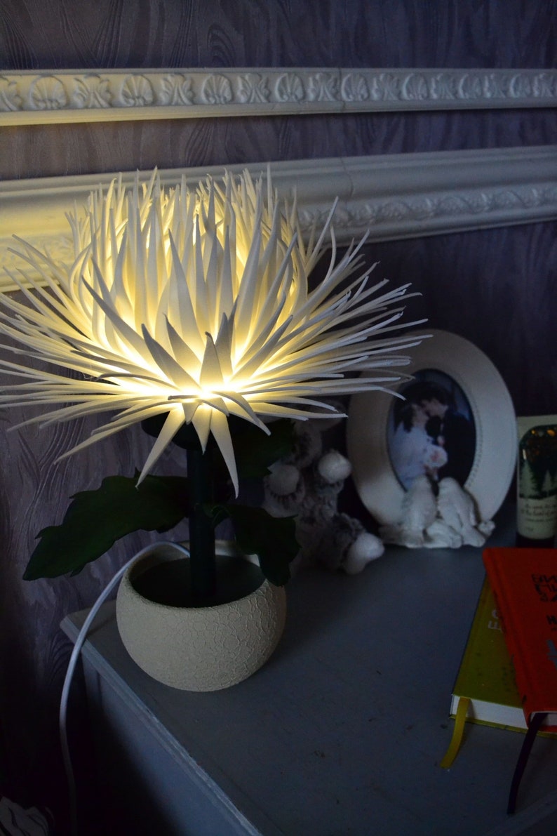 May include: A white paper flower lamp with a light bulb inside, illuminating the flower. The lamp is on a table with a book and a picture frame.