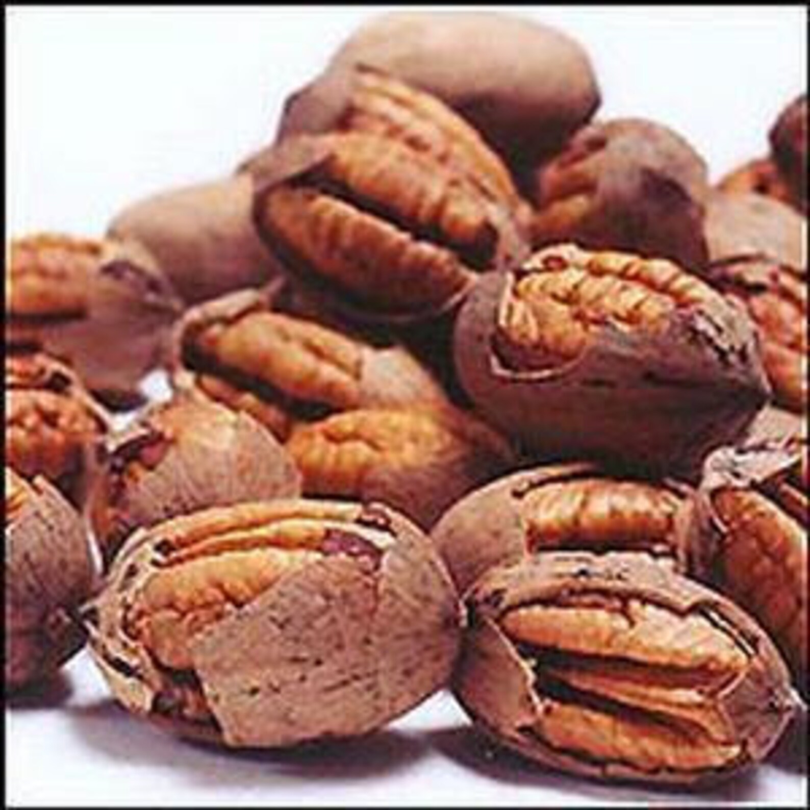 Pawnee Pecans Cracked 4.5 lb Etsy