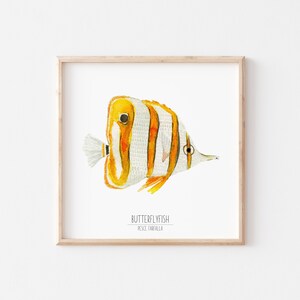 BUTTERFLY FISH in watercolor, watercolor prints, art prints, fish illustrations