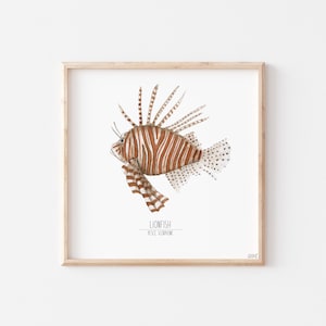SCORPION FISH in watercolor, watercolor print, art prints, art prints, fish illustrations