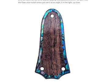 送料無料 Schecter Hellraiser C-1 ギター ローズウッド トラスロッド