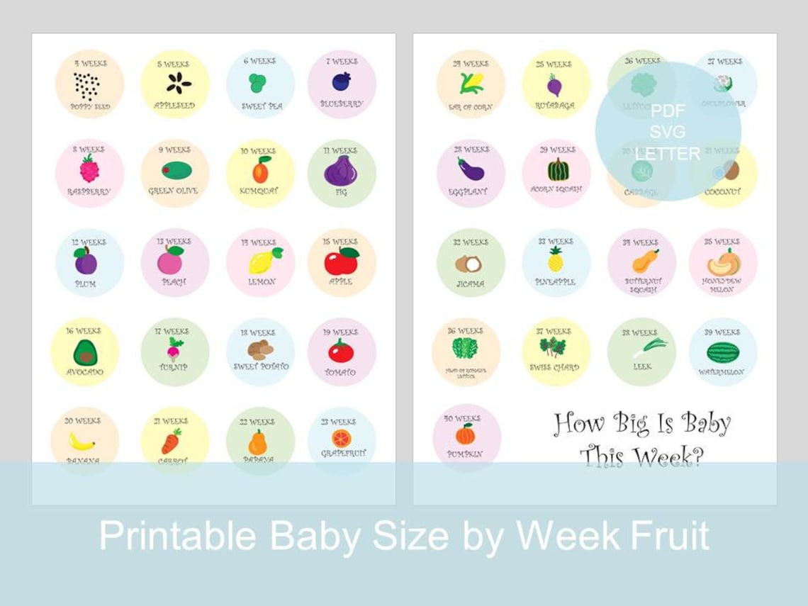 Printable Pregnancy Week with Fruit Baby Size by Week Fruit Etsy
