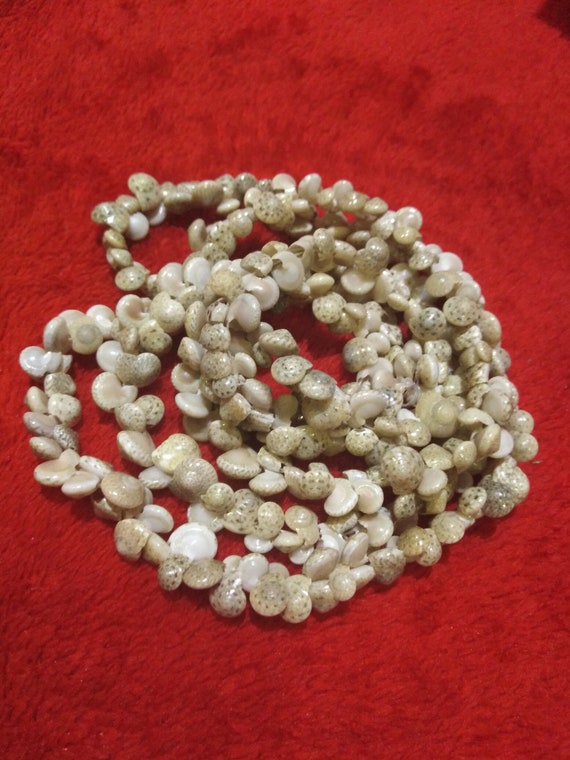 Shell Necklace