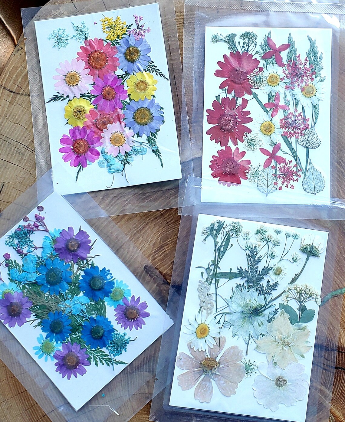 Dried Pressed Flowers Bundle 4 Packets Etsy