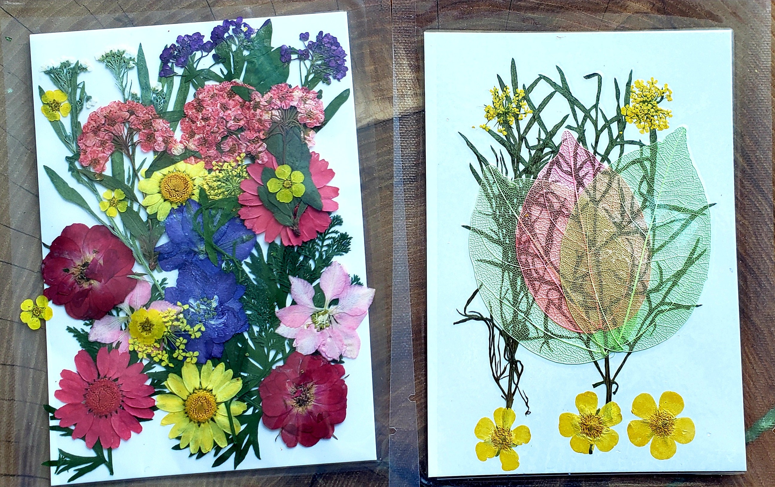 Dried Pressed Flowers Bundle 4 Packets Etsy