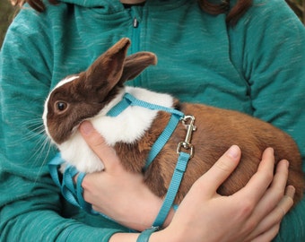 rabbit collars