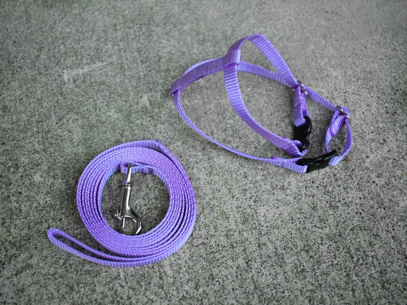 Rabbit Harness and Extralong Leash Etsy