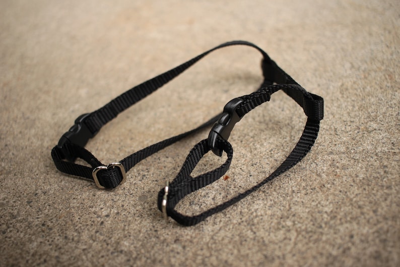 Rabbit Harness and Extralong Leash Etsy