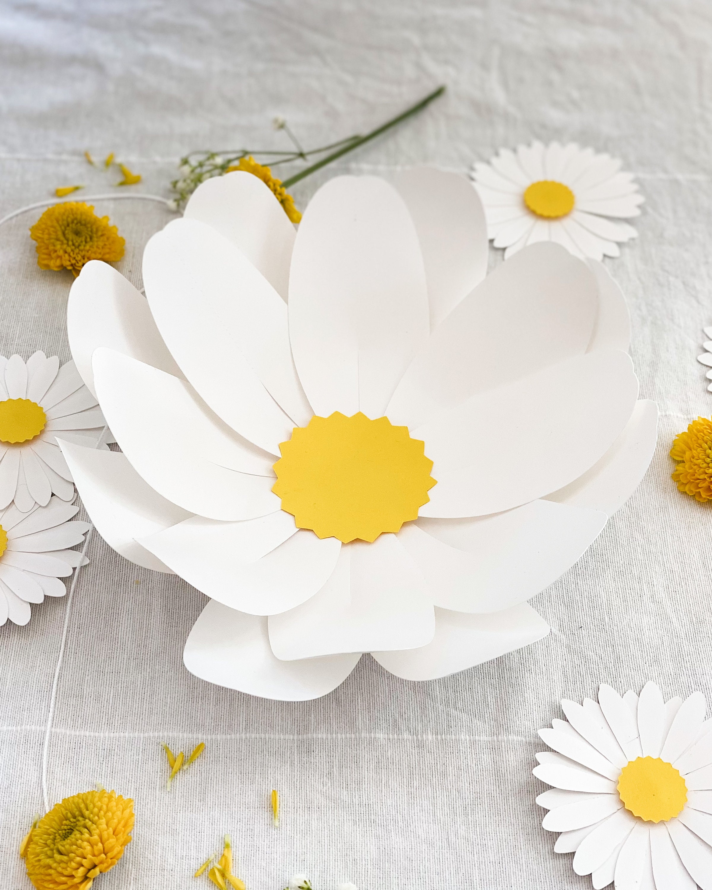 Giant Paper Daisy Paper Daisies Spring Decor Party Decor Etsy