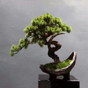 VICKY YAO-Artificial Bonsai Tree in Half-Moon Pot ｜Zen Decor for Home or Office | Japanese Style Faux Pine Tree with Moss L55xW25xH50cm