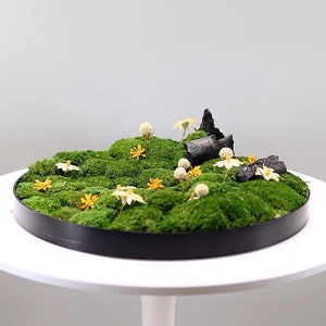 VICKY YAO Faux Bonsai- Exclusive Design Summer Green Preserved Moss Bowl Arrangement