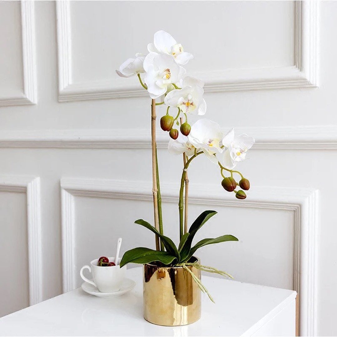 Real Touch Orchid Arrangement – Golden Pot, Faux Floral Display - Etsy