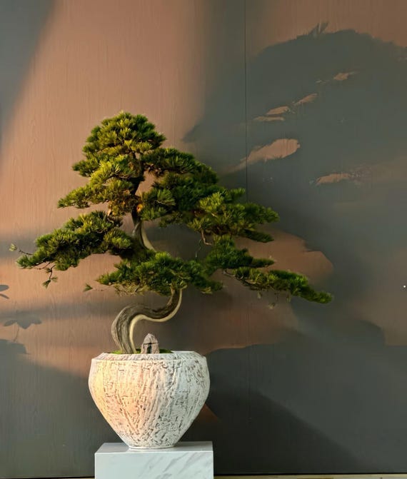 VICKY YAO Design - 限定版盆栽アート 人工盆栽 日本の松風 陶器